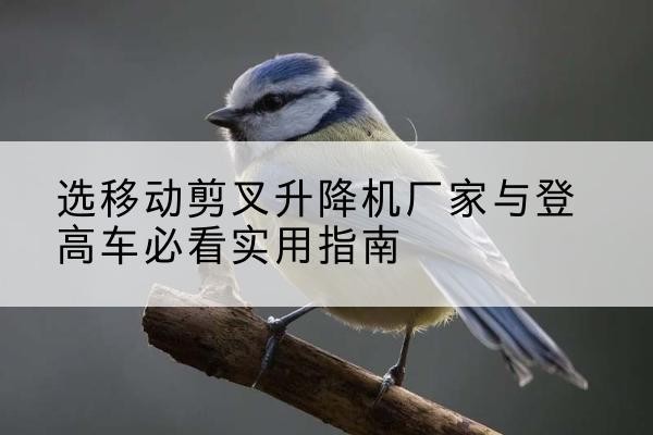天台电动升降机厂家-选移动剪叉升降机厂家与登高车必看实用指南