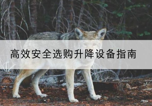 天台升降货梯厂家推荐-*安全选购升降设备指南